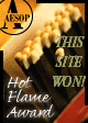 Hot Flame Award!